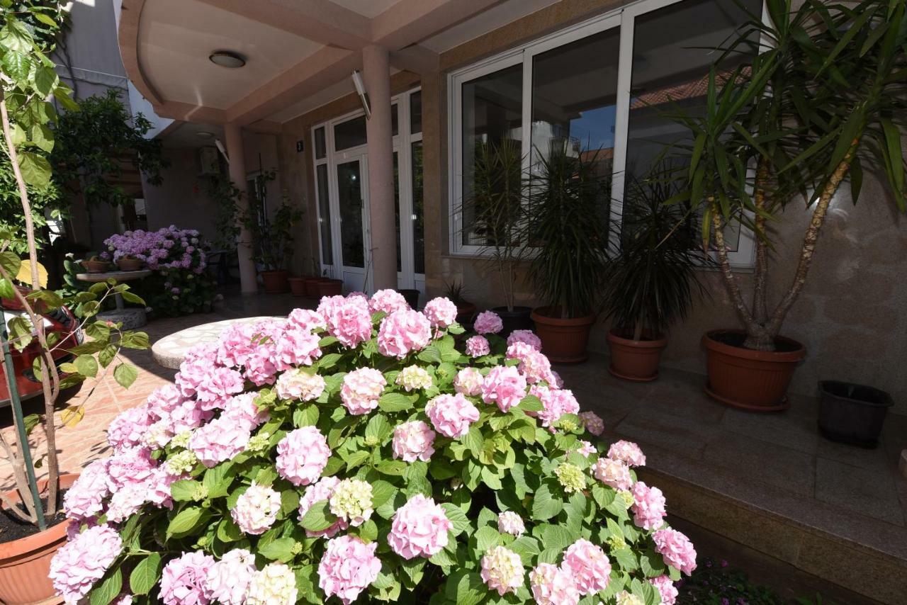 Guest House Zec Будва Екстер'єр фото